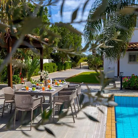 Villa Cape Greco Palm Trees *