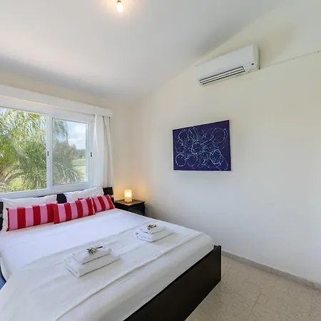 Cape Greco Palm Trees