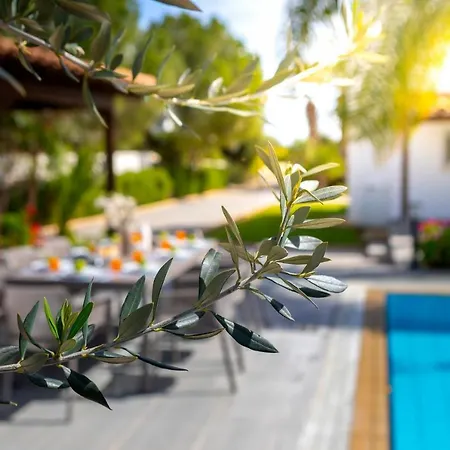 Cape Greco Palm Trees *