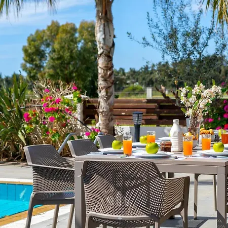 Villa Cape Greco Palm Trees Ayia Napa