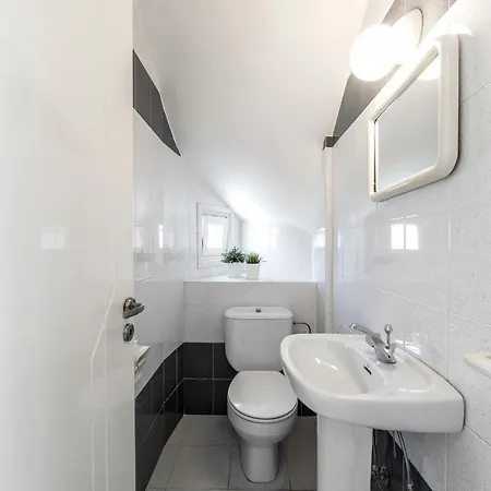 Cape Greco Palm Trees 圣纳帕