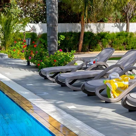 Cape Greco Palm Trees *