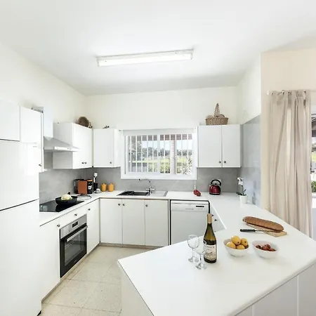 Cape Greco Palm Trees * Ayia Napa