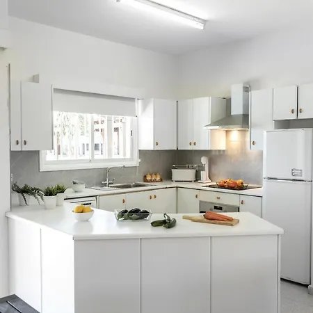 Cape Greco Palm Trees *