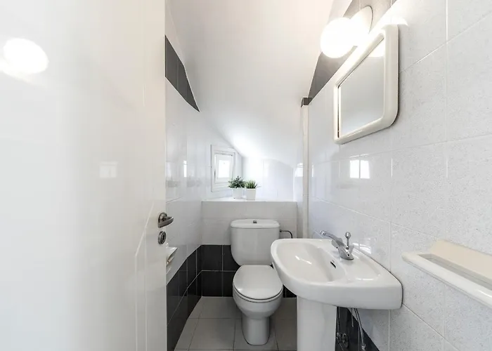 Cape Greco Palm Trees Αγία Νάπα